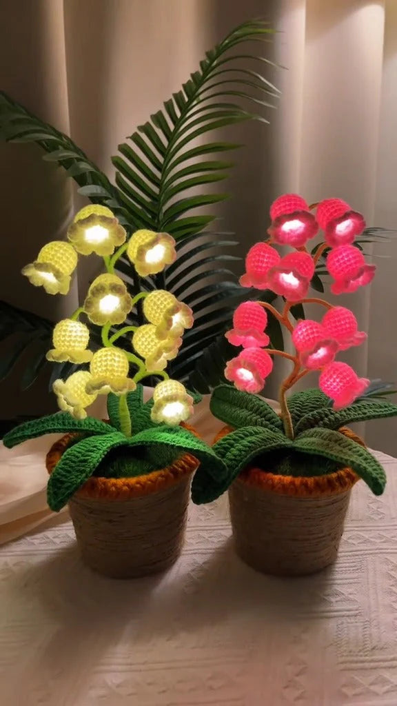 Flores eternas LilyGlow